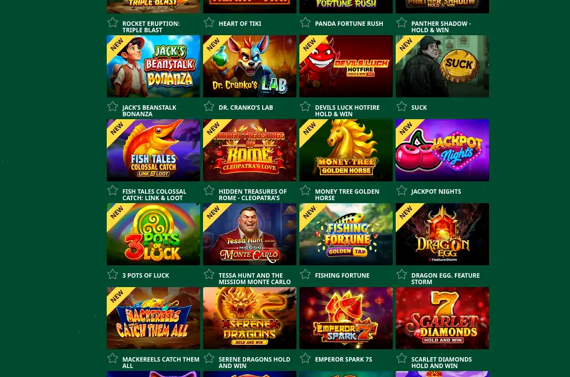 Säkerhet och integritetsskydd hos Wild Casino